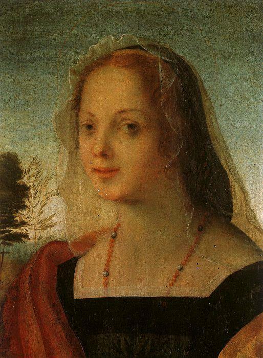 Rosso Fiorentino Portrait of a Young Woman France oil painting art